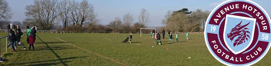 Ely Recreation Ground